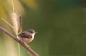 0905_MG_9919mfw