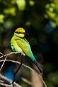IMG_2383mw