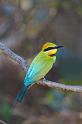 IMG_3645mw