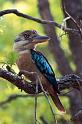 IMG_4767mw