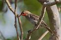 IMG_5475mw
