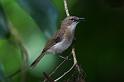 IMG_5769mw