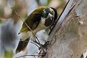 IMG_6303mw