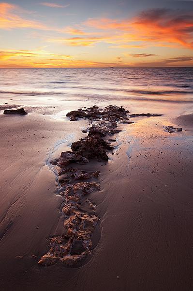 20110429-_MG_4269mw.jpg - A Crocodiles Back - Nightcliff NT