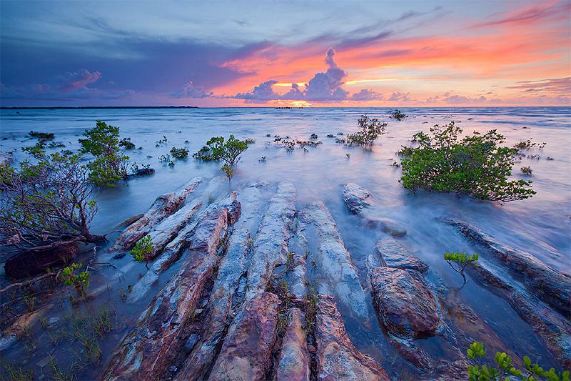 20111213-_MG_6073mw.jpg - Rocks in a Row - Nightcliff, NT