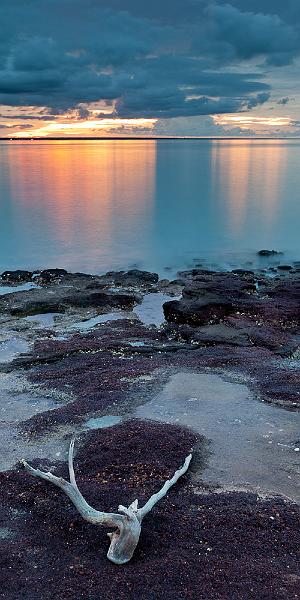 20120119-_MG_6600.jpg - Orange reflections - Fannie Bay, Darwin, NT