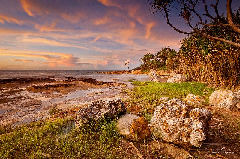 20120309-_MG_7814.jpg - Rock Platform - Nightcliff, NT
