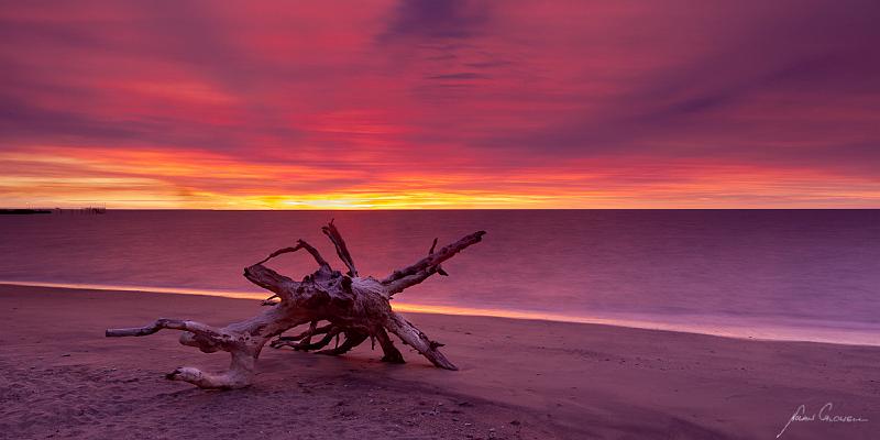 20120418-_MG_8249.jpg - Sunset Log - Nightcliff, NT