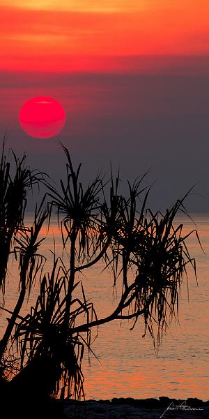 20120527-_MG_8357-Edit.jpg - Red Sun - East Point, Darwin, NT