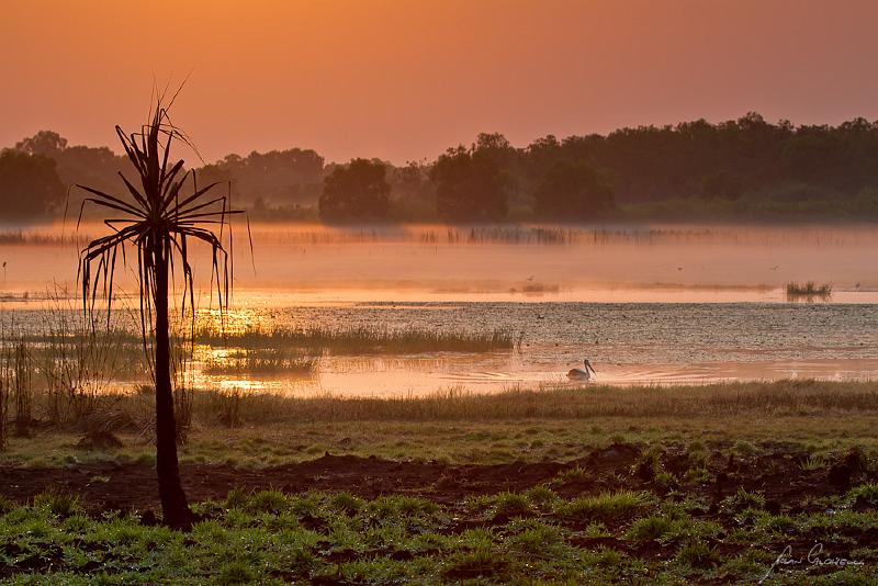 20120906-_MG_9372.jpg - Sunrise at a lagoon in Darwin, NT