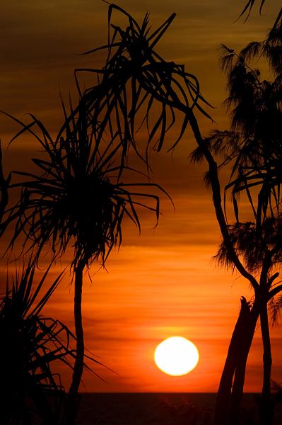 IMG_3400mw.jpg - Pandanus Sunset - Nightcliff, Darwin