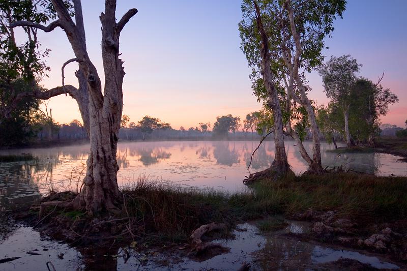 IMG_3850mw.jpg - Billabong Reflections - Marrakai, NT