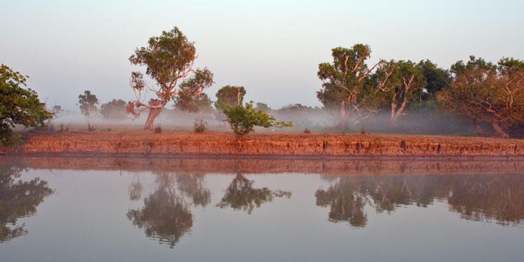 LS250mw.jpg - Sunrise Colour - Corroboree Billabong, Mary River