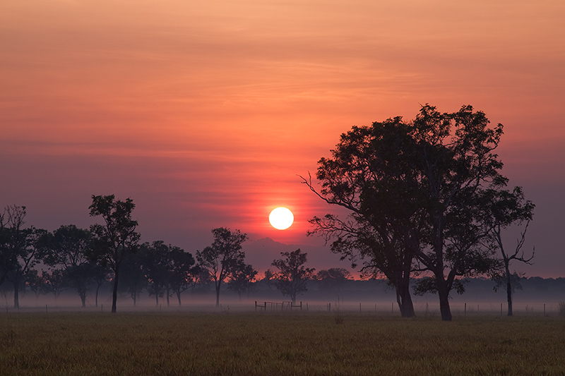 _MG_1029mw.jpg - Smokey Sunrise - Middle Point, NT.