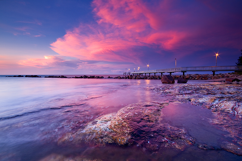 _MG_2333mw.jpg - Pink Hector - Nightcliff, Darwin, NT