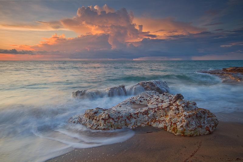 _MG_3792mw.jpg - Movement under Hector - Nightcliff, NT