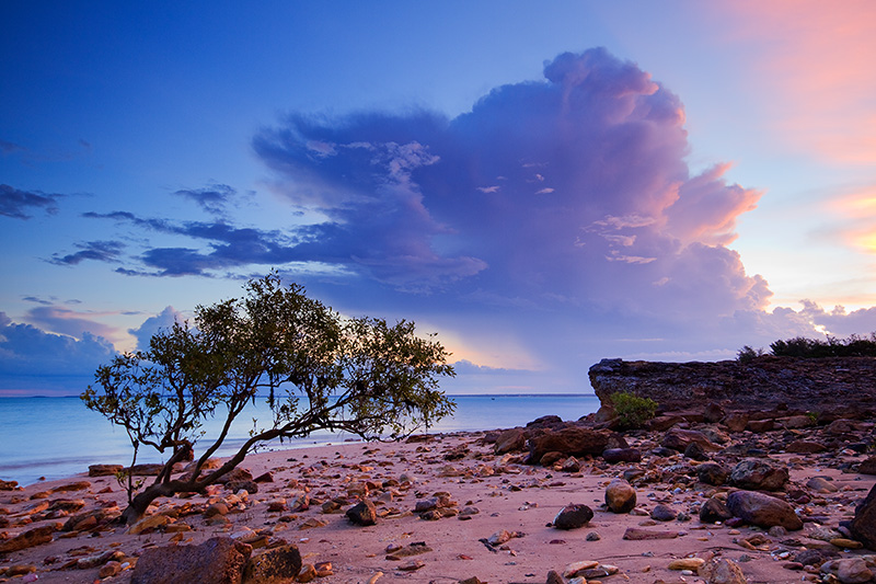 _MG_3944mw.jpg - Thunderhead over East Point - East Point, Darwin, NT