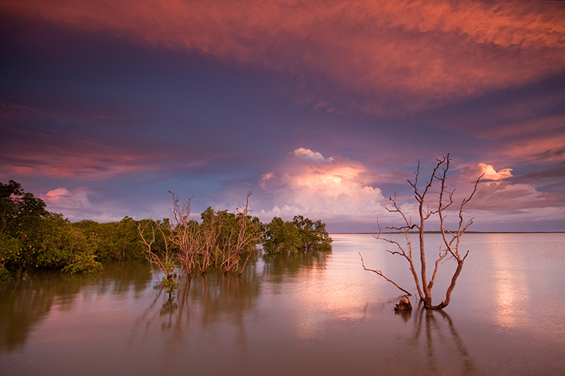 _MG_6237mw.jpg - Incoming Storm - East Arm Boat Ramp, Darwin, NT.