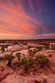 20111123_MG_5708m