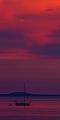 20111129_MG_5067m