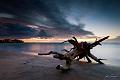 20120411-_MG_8210-Edit-Edit