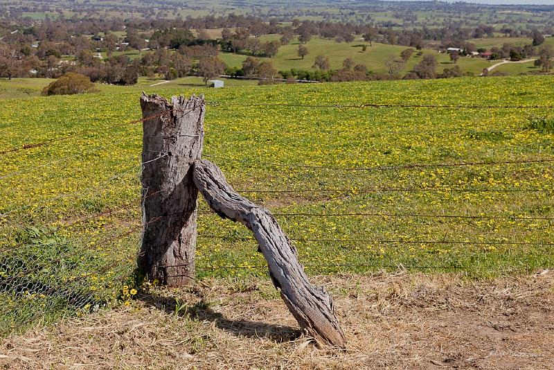 20121015-_MG_9602.jpg - Lookout - Eden Valley