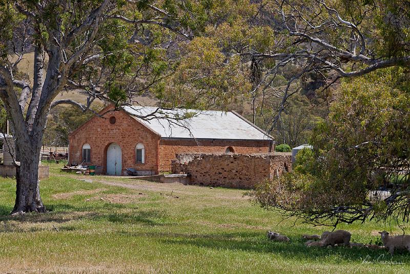 20121020-_MG_9701.jpg - Old Brewery - Melrose, Flinders Ranges