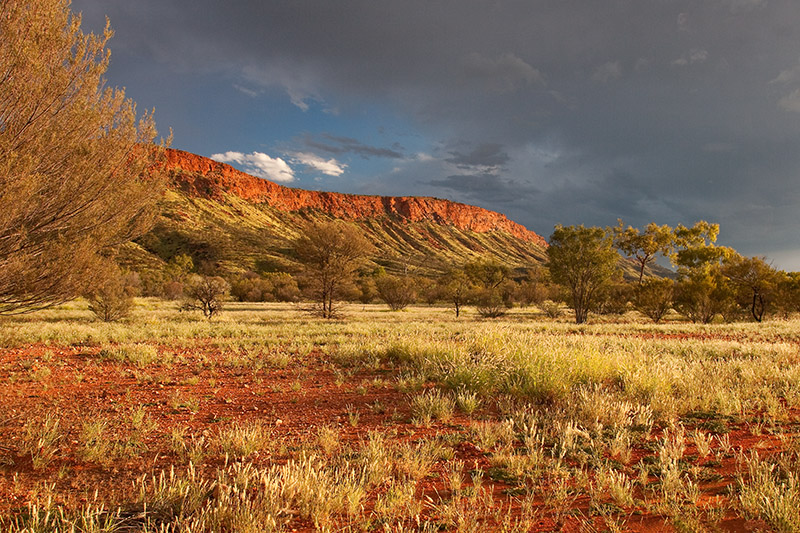 _MG_4181mw.jpg - Storm Brewing over West Macdonnells - Alice Springs