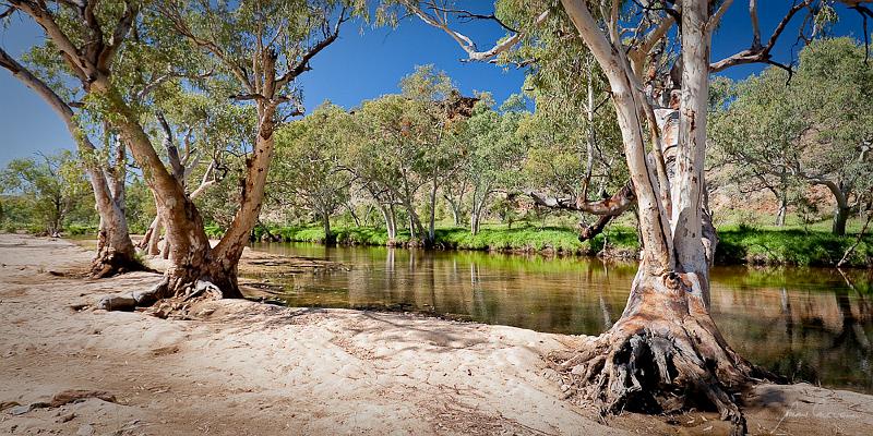 _MG_4716.jpg - Ormiston Gorge, NT