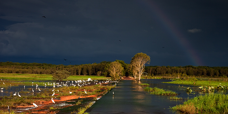 20110405-IMG_4066mw.jpg - Storm Light at Fogg - Fogg Dam, NT