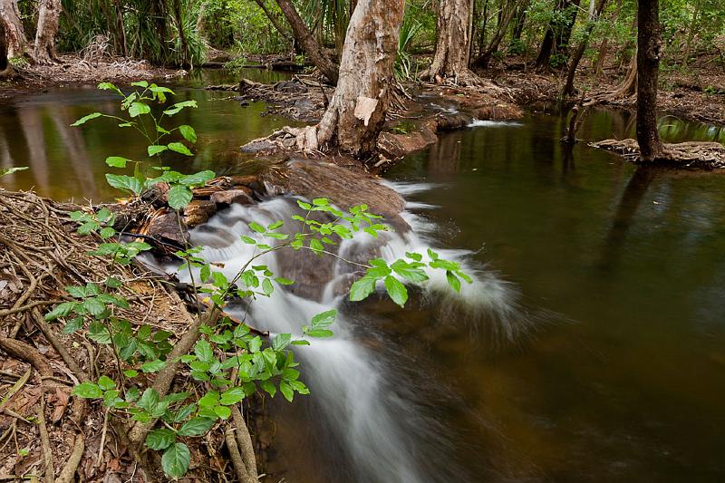 20111229-_MG_6208.jpg - Small Cascade - Coomalie Creek, NT