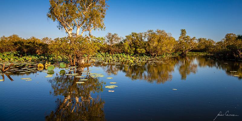 20120611-_MG_8476.jpg - Billabong Sunrise - Corroboree Billabong, NT