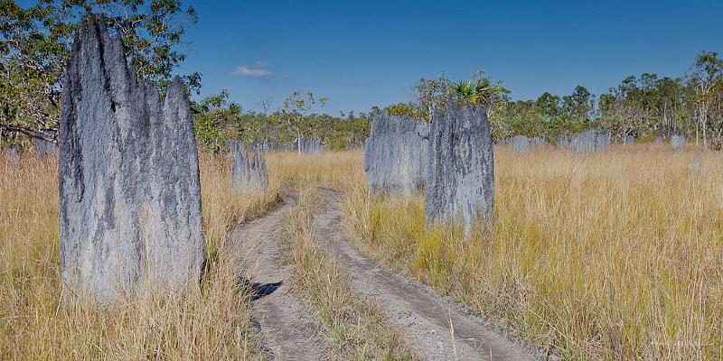 20120616-_MG_8513.jpg - Tombstone Territory - Mandorah, NT