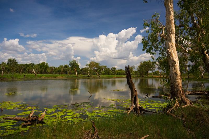 IMG_5330mw.jpg - Billabong - Marrakai Crossing, NT