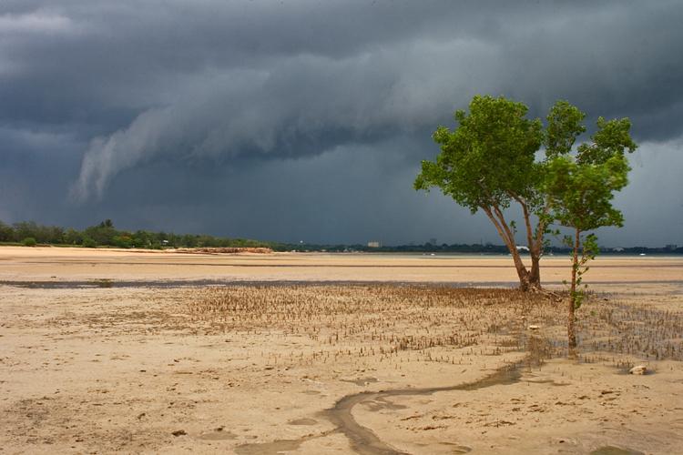 LS317mw.jpg - Incomming storm - Fannie Bay