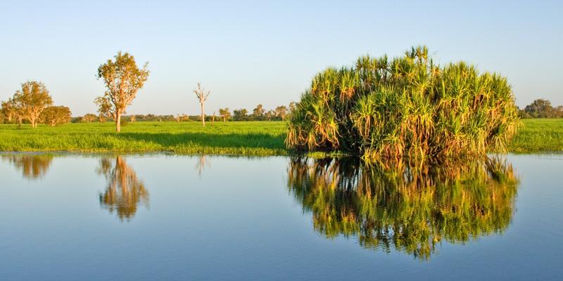 LS375mw.jpg - Sunrise - Yellow Waters, Kakadu