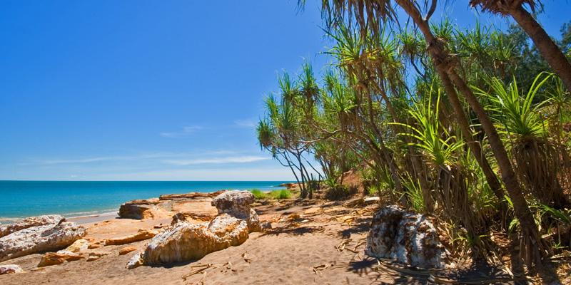 LS398mw.jpg - Nightcliff Beach - Darwin