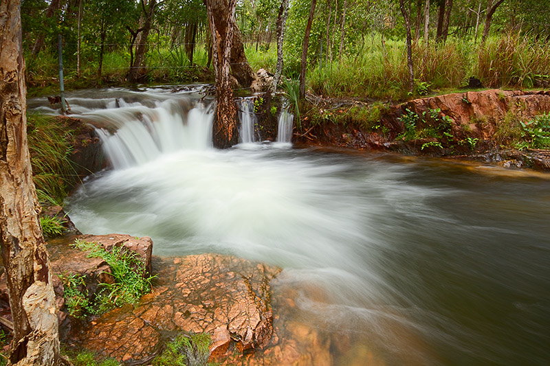 _MG_2495mw.jpg - Buley Rockhole in the Wet Season - Litchfield National Park, NT
