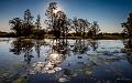 20120611-_MG_8466