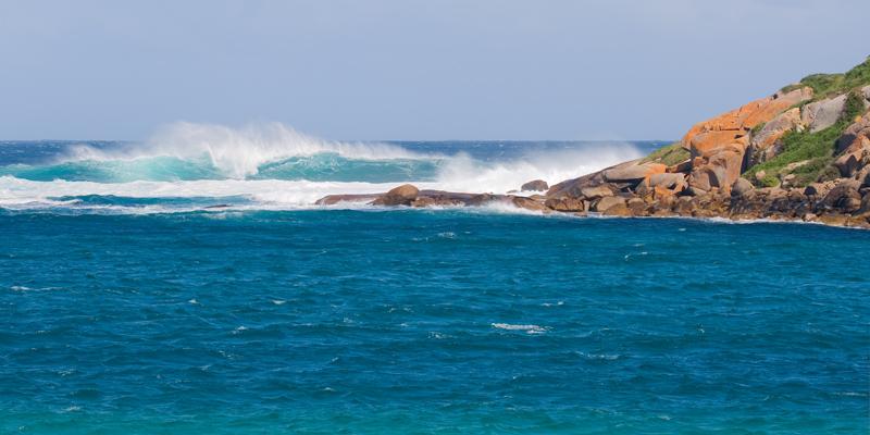 IMG_4406mw.jpg - Wave Break - Muttonbird Island, Albany