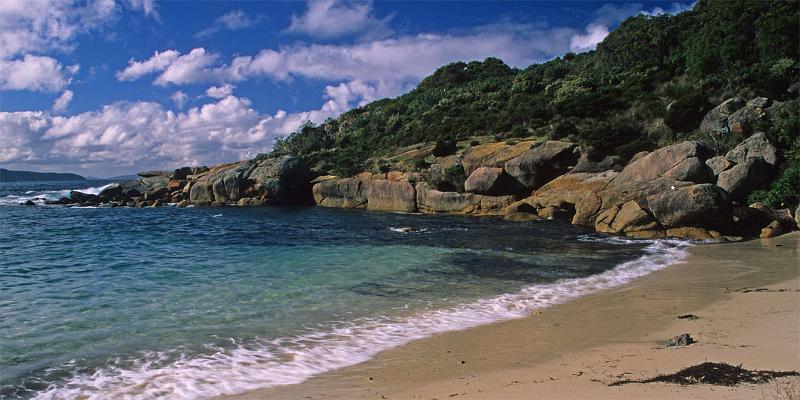 LS11mw.jpg - Misery Beach - Albany