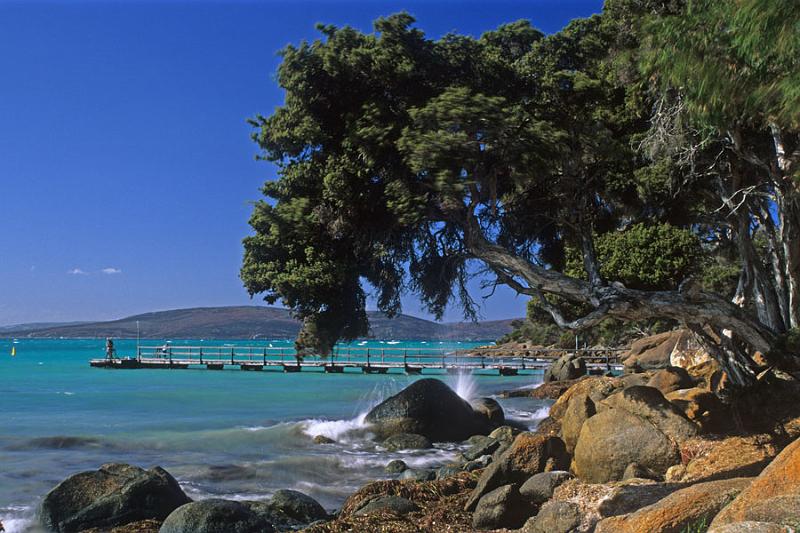 LS136mw.jpg - Middleton Jetty - Middleton Beach, Albany