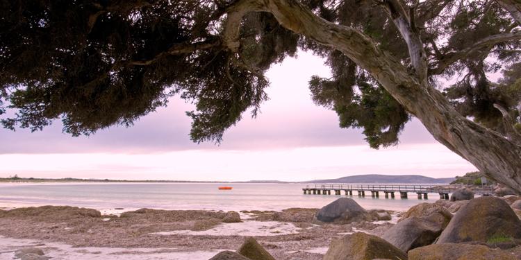 LS293mw.jpg - Dawn - Middleton Jetty, Albany