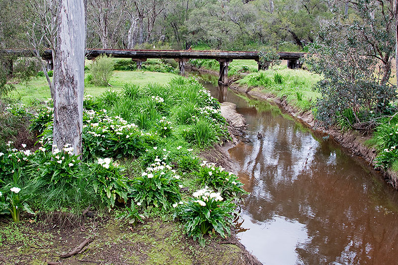 _MG_2715m.jpg - Abandoned Railway - Tuart Drive, Busselton