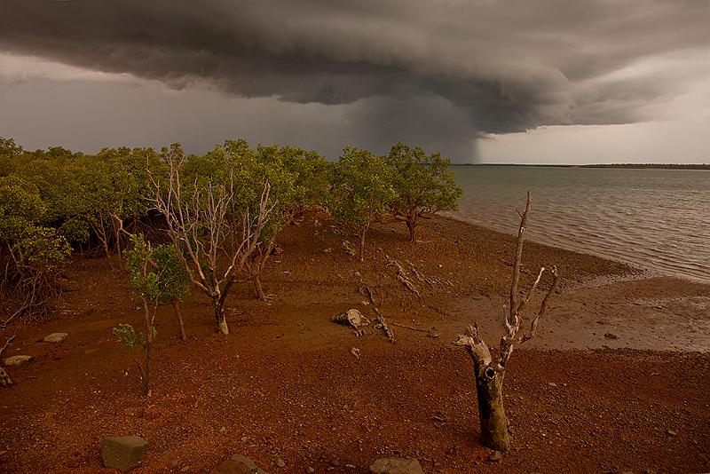 20111217-_MG_6106mw.jpg - Shelf Cloud over East Arm - Darwin, NT