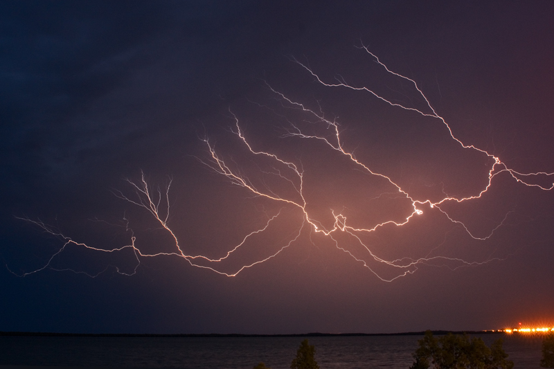 W368mw.jpg - Lightning Crawler - Wickham Point, Darwin, NT