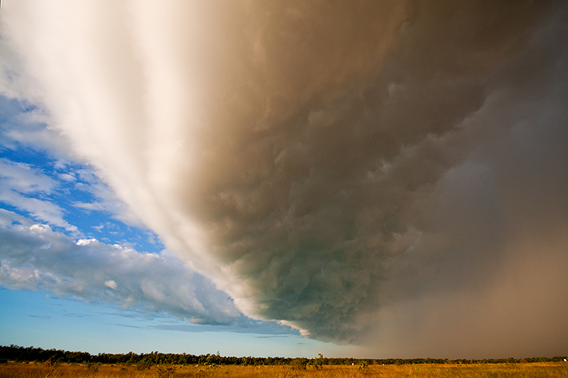 _MG_6108mw.jpg - Shelf Cloud going over the Top - Lyons, Darwin, NT